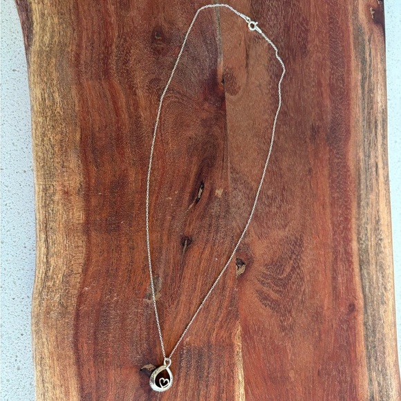 Sterling Silver Follow Your Heart Tear Drop Pendant 18" Necklace - Picture 2 of 6